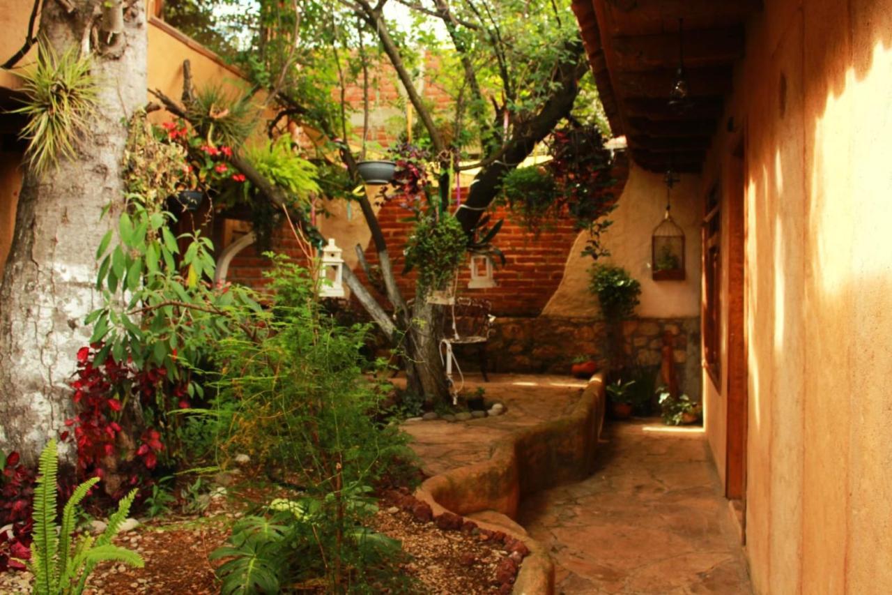 Hospedaje Boutique Paz Creativa San Cristobal de las Casas Bagian luar foto